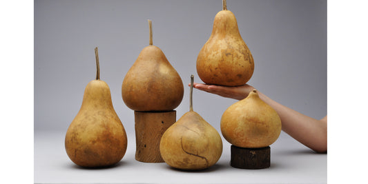 Premium Pear + Kettle Gourds