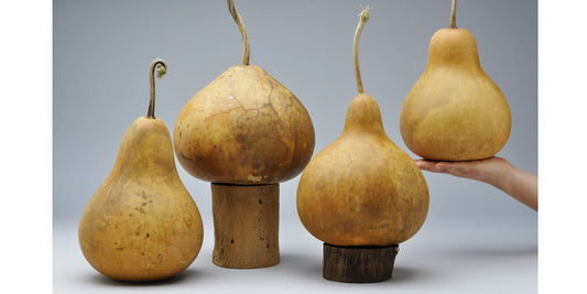 Premium Pear + Kettle Gourds