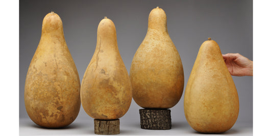 Premium Tall-Body Gourds