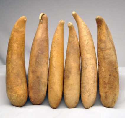 Bargain Quality People Gourds
