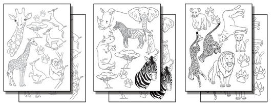 Stick 'n Burn African Wildlife  Pack