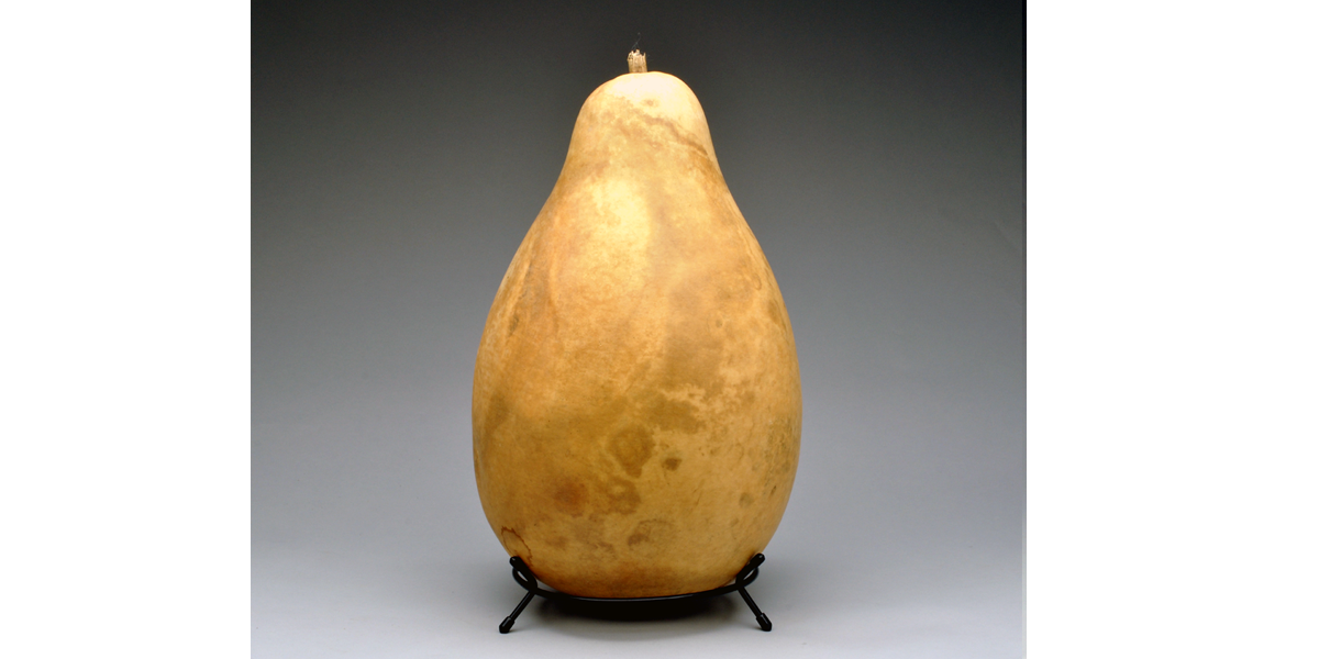 A Large Size gourd fits in the 7-inch Metal Gourd Stand!