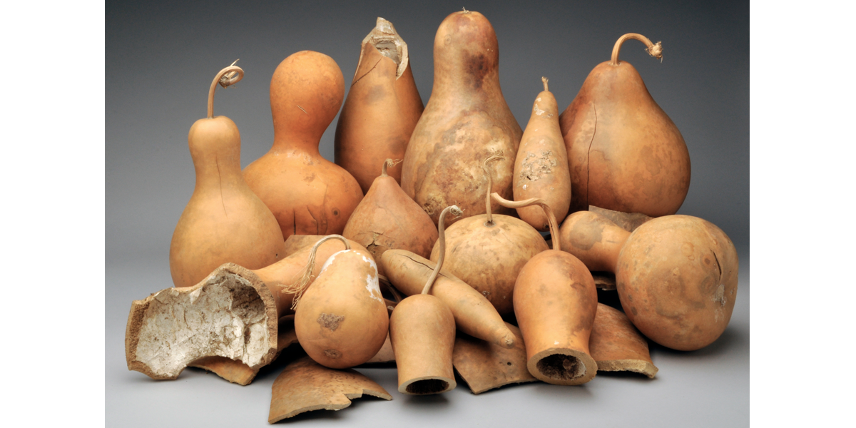 tobacco box gourd Dried Dipper Since this is a natural product Wormwood Artemisia Moxa Moxa Mugwort